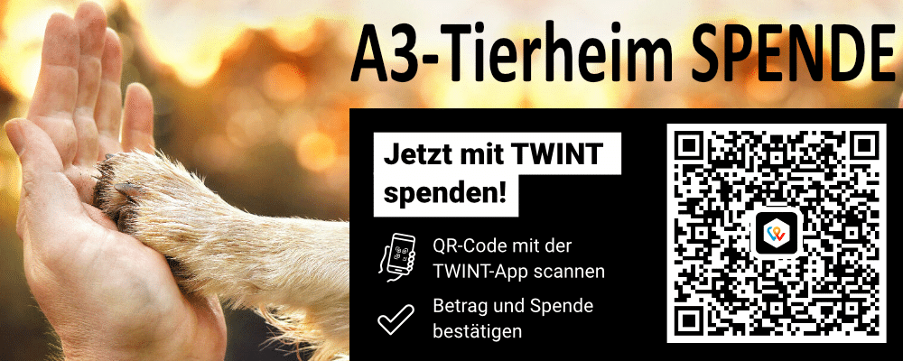 A Tierheim Spende