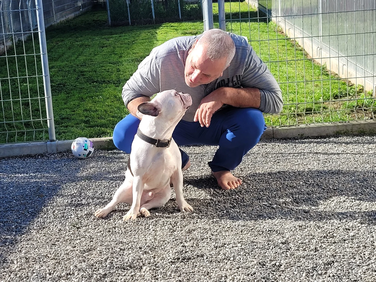 Flexibel organisiert